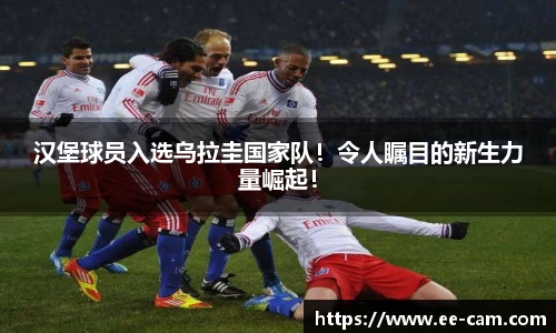 星空综合(中国)官方网站