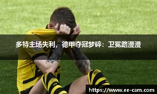 星空.综合体育官网
