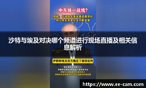 沙特与埃及对决哪个频道进行现场直播及相关信息解析